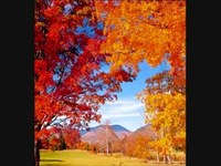 pochette album Septemberwind