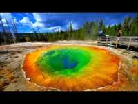 pochette album Yellowstone cowbear