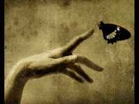 pochette album Miss me