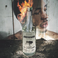 pochette album J'arrive