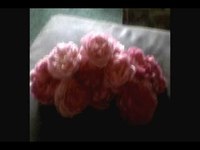 pochette album You already know my love