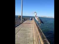 pochette album Sticky summer weather