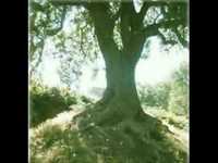 pochette album Thanks to you