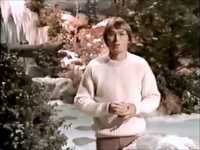 pochette album The christmas tree