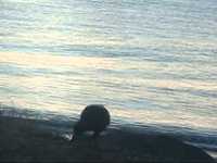 pochette album We don't live here no more