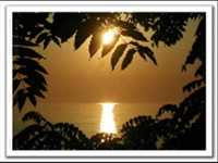 pochette album Welcome to my morning