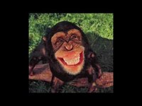 pochette album Who in the hell?