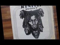 pochette album I sing my song