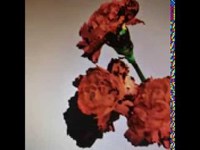 pochette album Love in the future