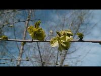 pochette album Hello in there