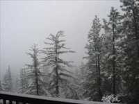 pochette album Silent night, all day long