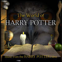 pochette album Harry's wondrous world