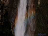 pochette album Over the rainbow