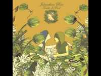 pochette album The acrobat