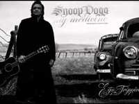 pochette album Back in the fold