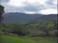 pochette album Mary of the wild moor