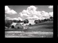 pochette album Missouri waltz