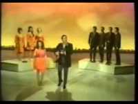 pochette album The old account