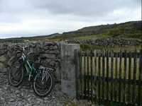 pochette album Would you lay with me (in a field of stone)