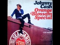 pochette album You wild colorado