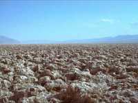 pochette album Hank and joe and me