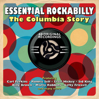 pochette album Honky tonk hardwood floor