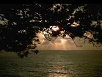 pochette album When i am with you