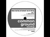 pochette album Live for the day