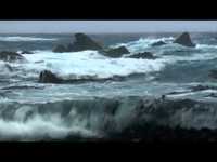 pochette album Mayflower