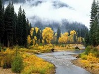 pochette album Sing with your eyes