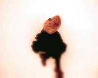 pochette album How do you stop?