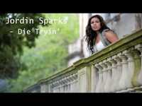 pochette album Die tryin'