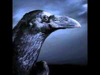 pochette album Captured