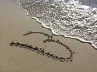 pochette album Che sara