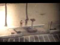 pochette album Save your day