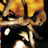 pochette album Honey and the moon