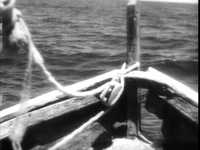 pochette album Chemin du bonheur