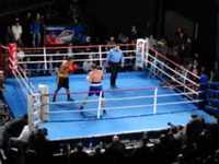 pochette album Introduction by michael buffer