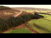 pochette album What i love about home