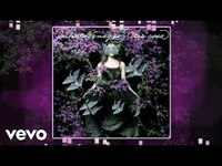 pochette album Amores platnicos