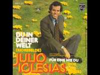 pochette album Du in deiner welt