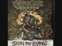 pochette album Rotten bodies