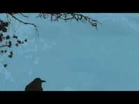 pochette album Raining in baltimore