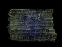 pochette album Chickens