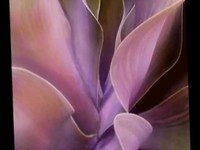 pochette album The lights are low