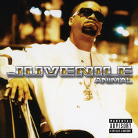 pochette album Animal