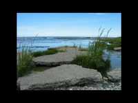 pochette album The right to love