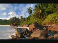 pochette album Les freres existent encore