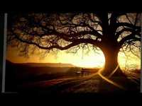 pochette album Bulletproof pride