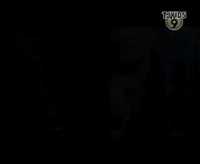 pochette album I can't explain